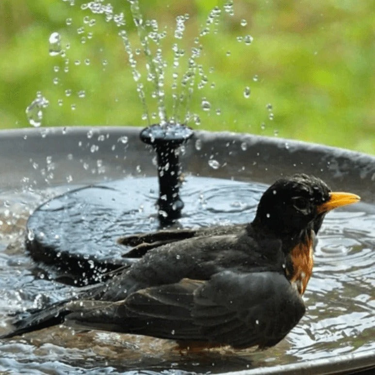 LED Solar Energy Fountain